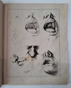 studies-van-monden-en-neuzen