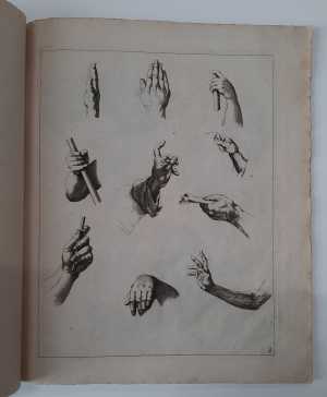 studies-van-handen-en-armen