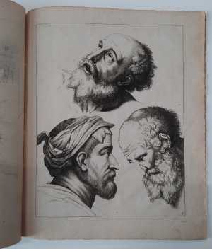 studies-van-3-gezichten