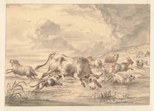 een-stier-rent-door-een-kudde-schapen-in-een-plas