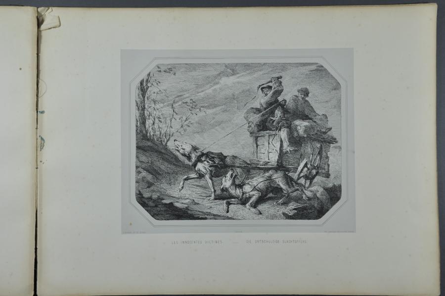 Les innocentes victimes