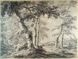 forest-landscape
