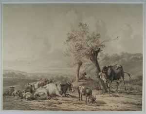 hilly-landscape-with-cows-and-sheep