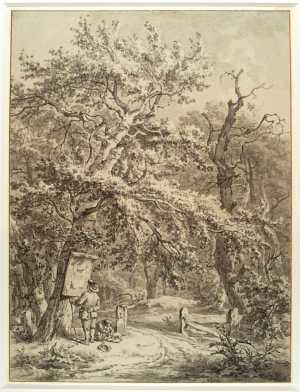 ingang-tot-een-bos-met-een-wandelaar-kijkend-naar-een-informatiebord