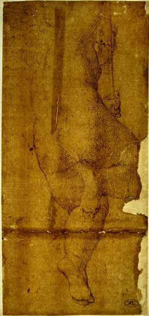 TMSFoto/PK/N 101 (PK)_1.jpg