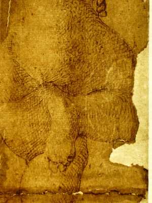 TMSFoto/PK/N 101 (PK)_2.jpg