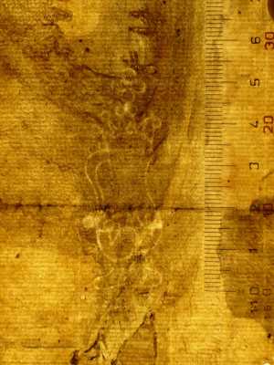 TMSFoto/PK/N 118 (PK)_2.jpg