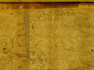 TMSFoto/PK/N 126 (PK)_2.jpg