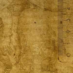 TMSFoto/PK/N 130 (PK)_1.jpg