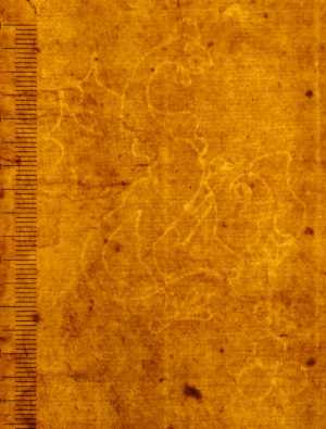 TMSFoto/PK/N 132 (PK)_2.jpg