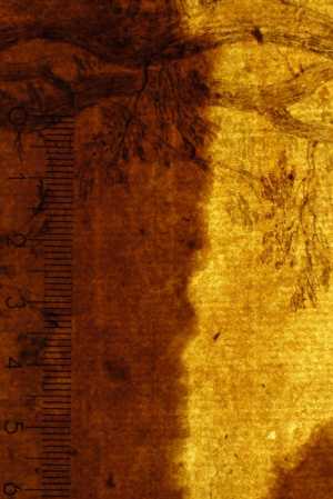 TMSFoto/PK/N 133 (PK)_2.jpg