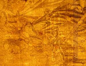 TMSFoto/PK/N 140 (PK)_1.jpg