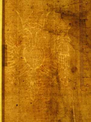 TMSFoto/PK/N 143 (PK)_3.jpg