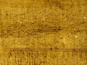 TMSFoto/PK/N 146 (PK)_1.jpg