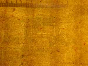 TMSFoto/PK/N 164 (PK)_1.jpg