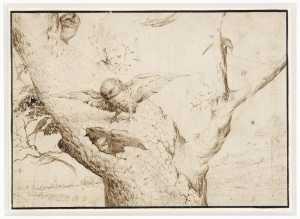 TMSFoto/PK/N 175 (PK).jpg