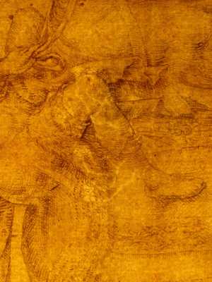 TMSFoto/PK/N 178 (PK)_3.jpg