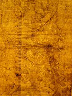 TMSFoto/PK/N 189 (PK)_1.jpg