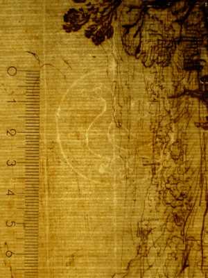 TMSFoto/PK/N 193 recto (PK)_1.jpg