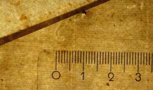 TMSFoto/PK/N 194 recto (PK)_2.jpg