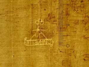 TMSFoto/PK/N 37 (PK)_1.jpg