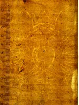 TMSFoto/PK/N 41 (PK)_2.jpg