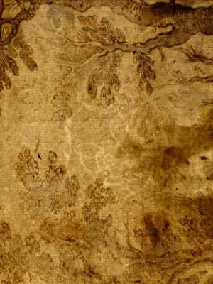 TMSFoto/PK/N 51 (PK)_2.jpg