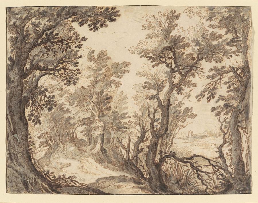 Wooded Landscape with a River