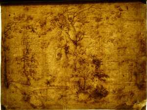 TMSFoto/PK/N 56 (PK)_1.jpg