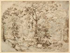 forest-landscape-with-a-bridge-over-a-stream