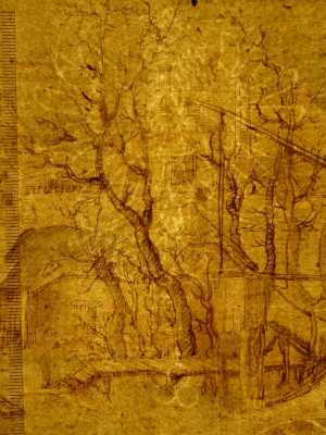 TMSFoto/PK/N 60 (PK)_1.jpg