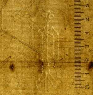 TMSFoto/PK/N 83 (PK)_2.jpg