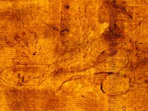 TMSFoto/PK/N 93 (PK)_1.jpg