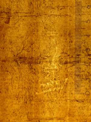 TMSFoto/PK/N 97 (PK)_1.jpg