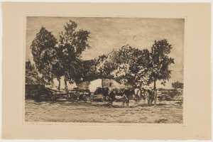 koeien-bij-een-boerderij