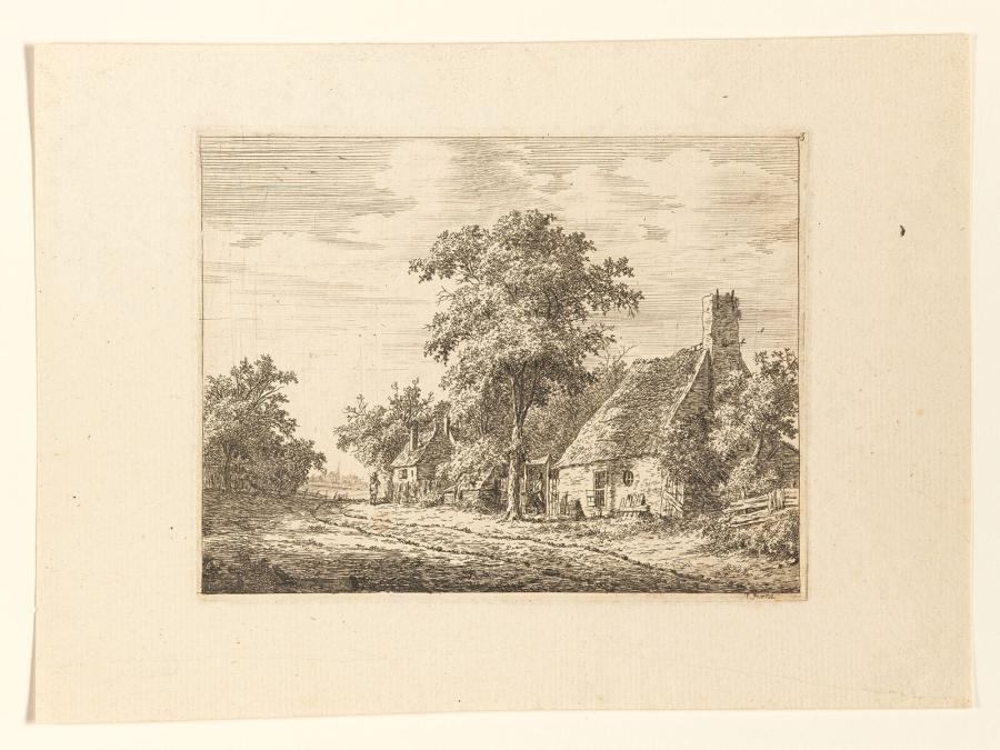 Boerderijen aan een landweg