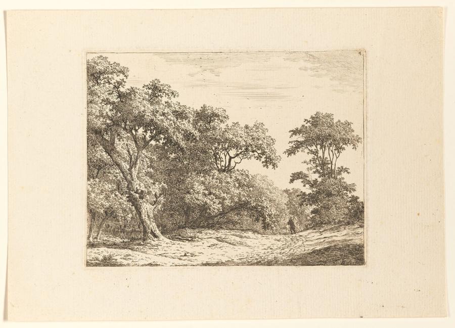 Reiziger op een landweg