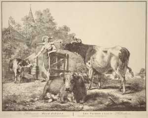 the-dutch-dairy-cows