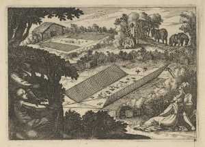 hunters-watching-their-bird-traps