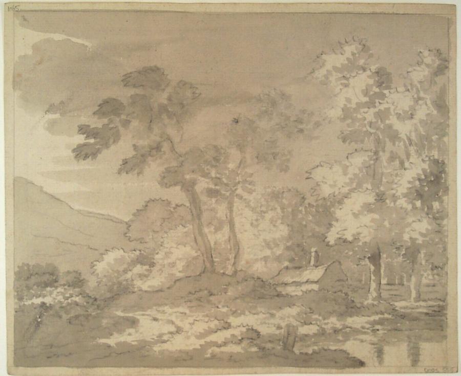 Landscape with Forest