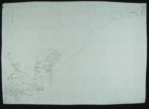 schets-van-bomen-om-een-boerderij