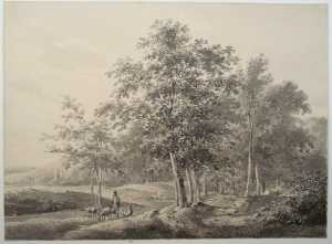 figure-on-forest-path