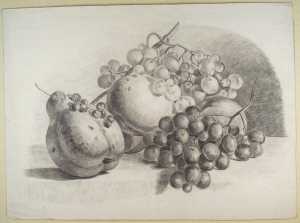 still-life-with-fruit