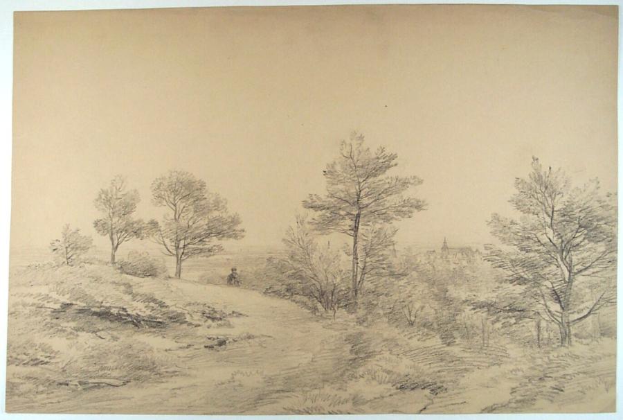 Landschap met vergezicht