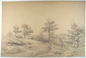 landschap-met-vergezicht