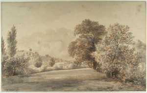 hilly-landscape-near-the-village-of-beek-near-the-city-of-nijmegen-in-the-province-gelderland