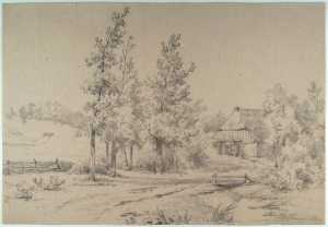 house-in-landscape-with-trees