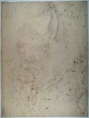 woman-s-head-with-cap