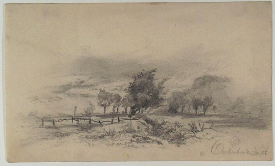Landscape with Trees