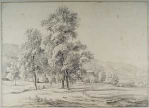 heuvellandschap-met-bomen